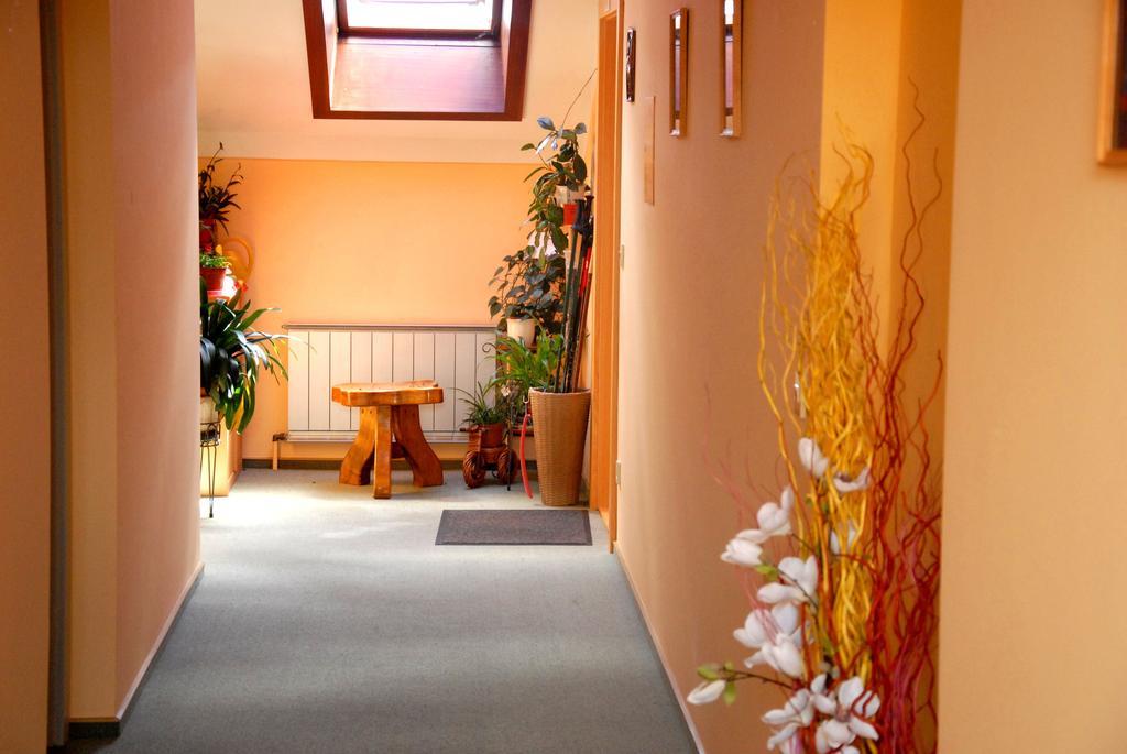 Fruehstueckspension Wiesenhaus Miesenbach  Exteriör bild